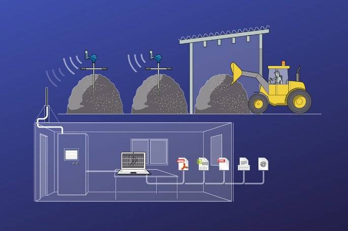 Visualization of temperature measurement in biomass